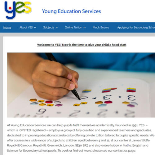 Young Education Services